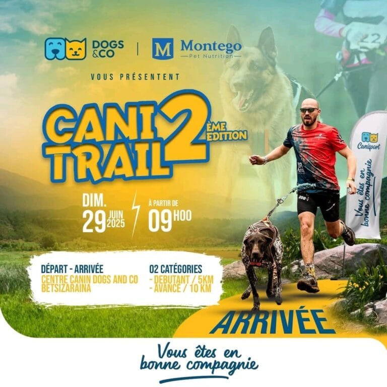 CANITRAIL 2025 : Courez avec votre chien et vivez une aventure unique